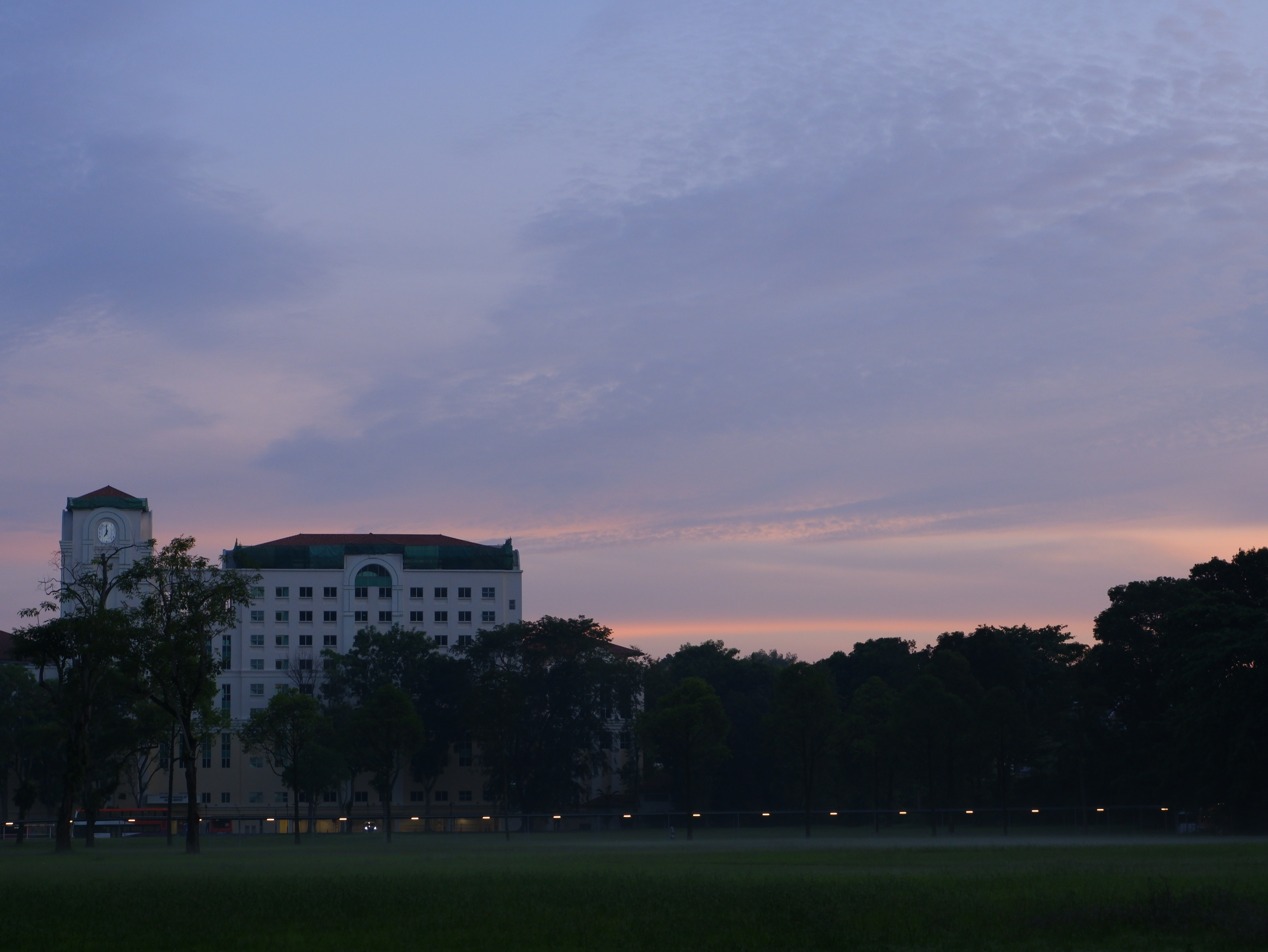 A Morning Walk Along The Rail Corridor