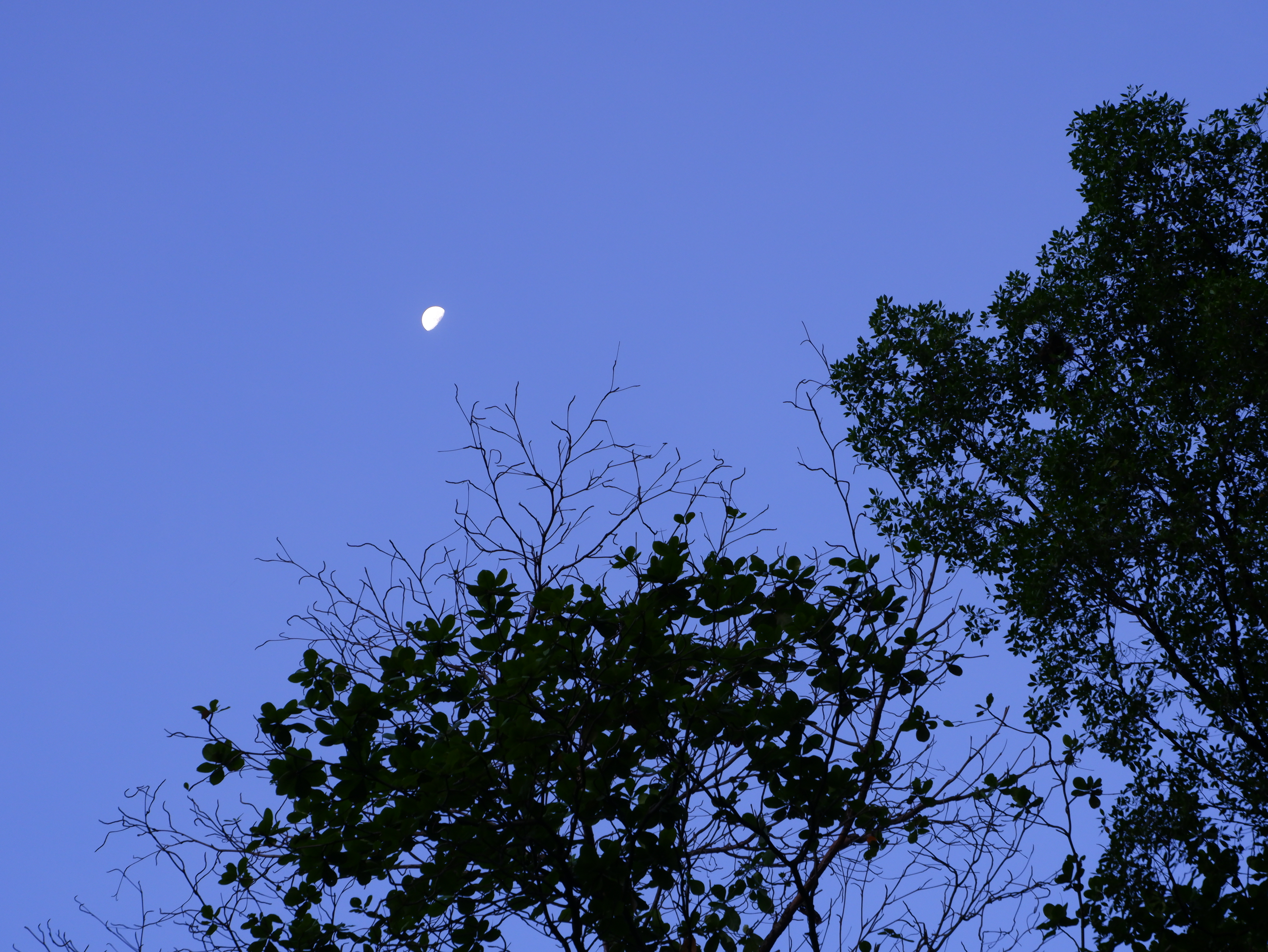 The moon was still bright in the sky.