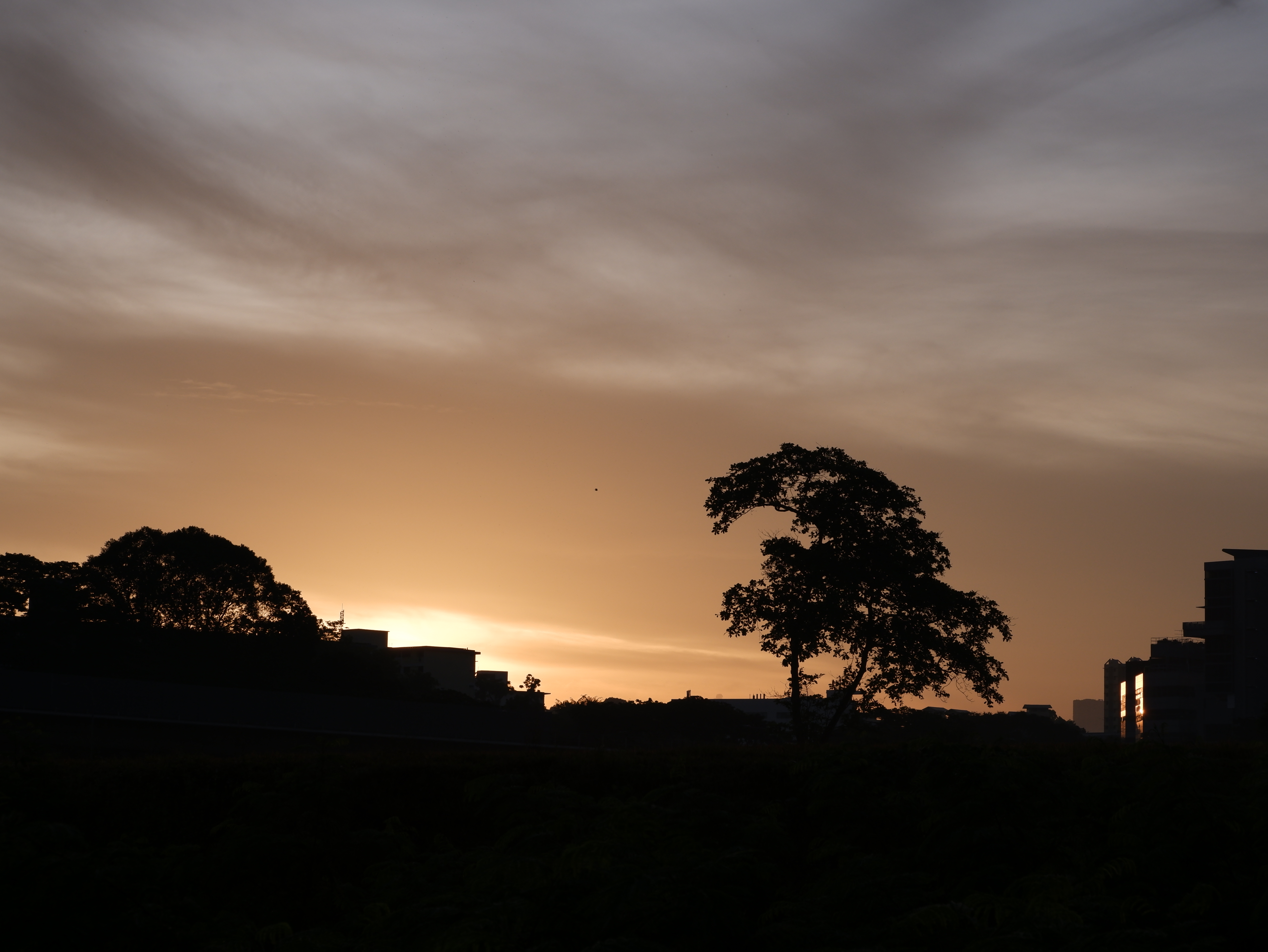 The sun finally shows itself.