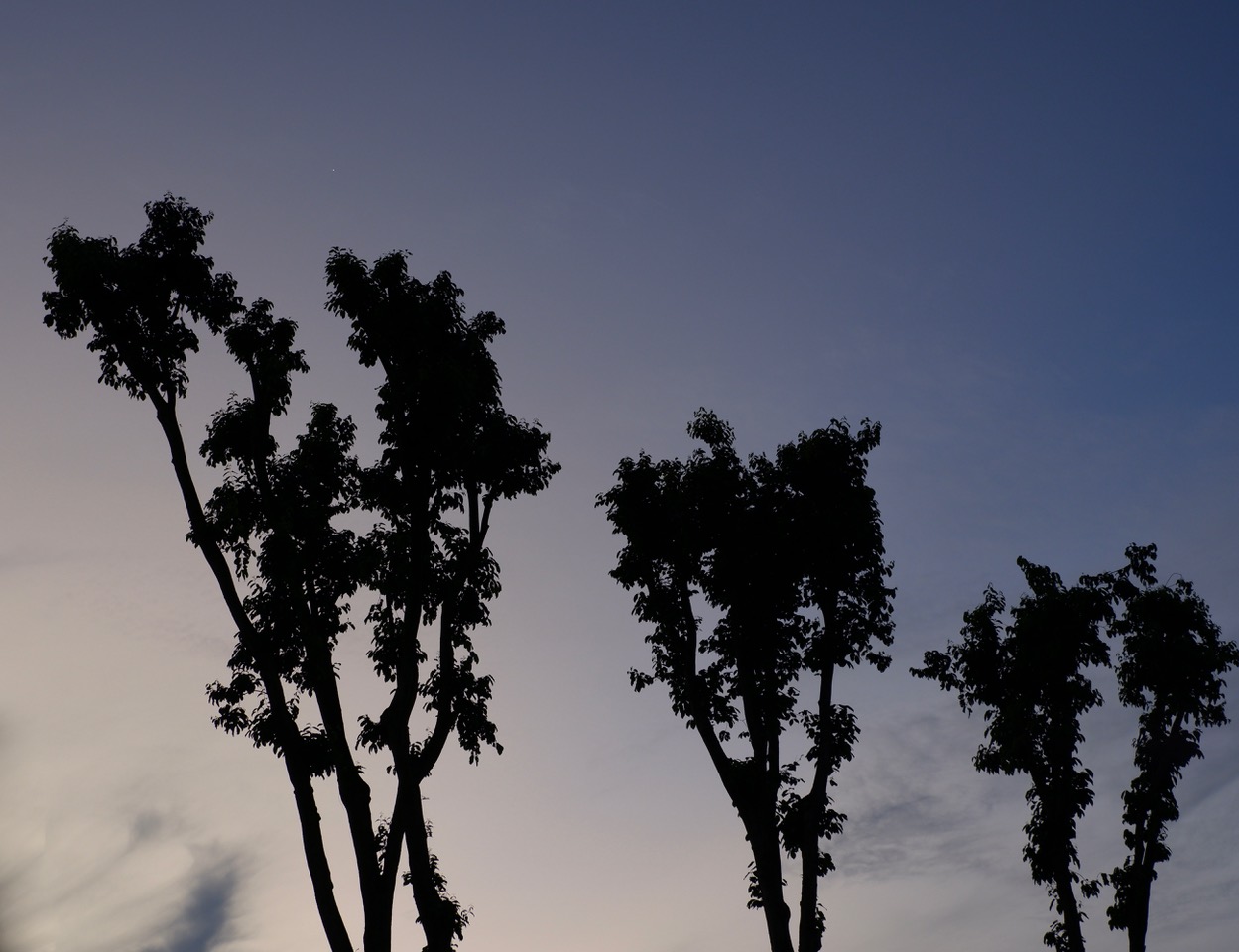 The lamps were still shining, and the wispy clouds were casting shadows in the sky.