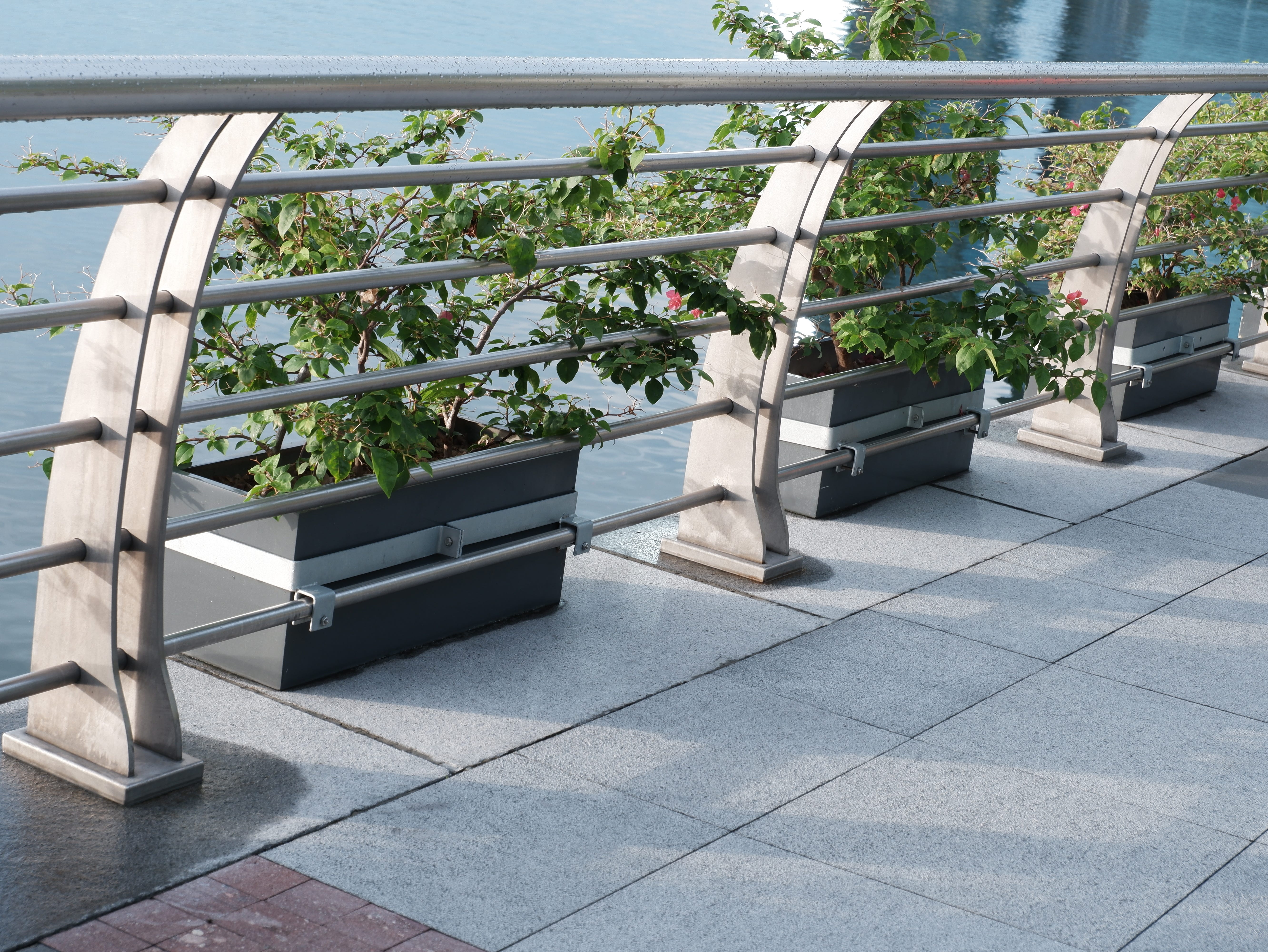 Potted plants and steel guardrails line the water’s edge.