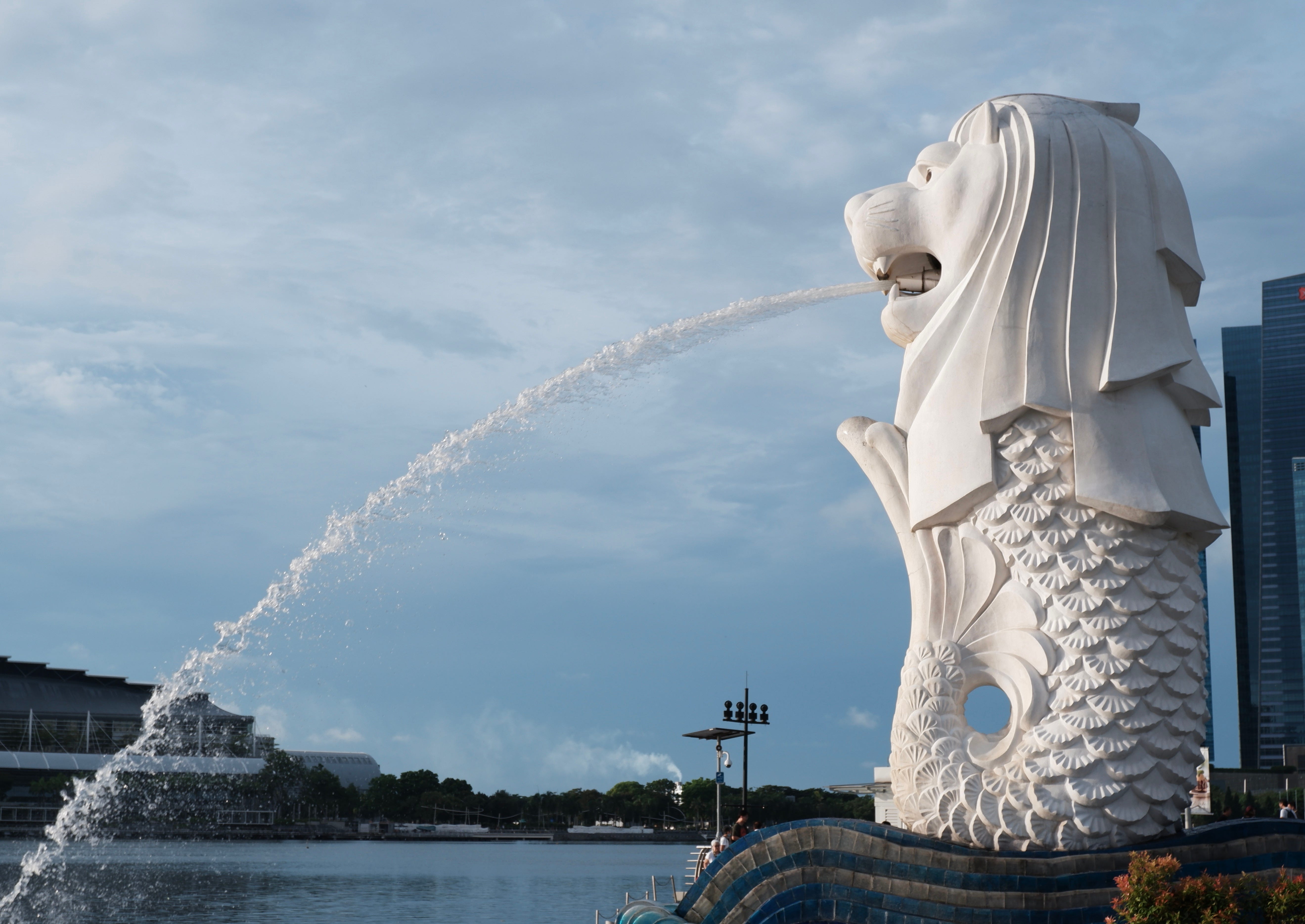 A classic shot of the Merlion statue. This could go on a postcard.