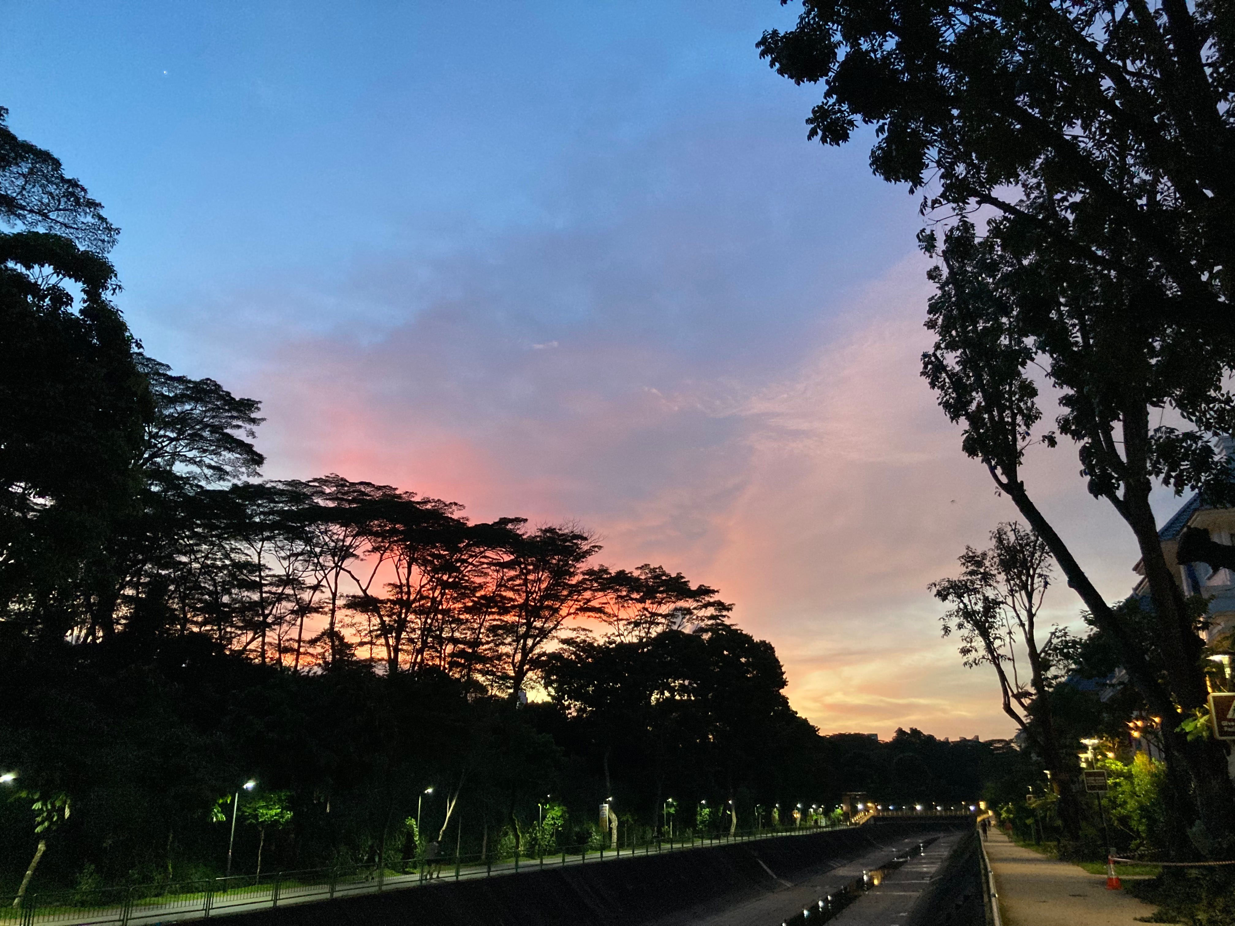 LED street lamps blink on as darkness falls, creating fuzzy reflections on the water in the canal. Behind the trees, the setting sun gives off a final burst of color before night fall.